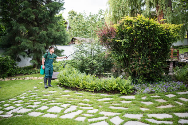 Trusted Barberton, WA Pest Control Experts