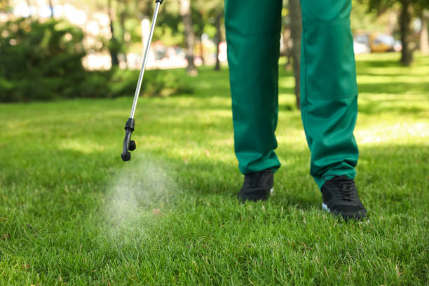 Best Pest Control for Restaurants  in Barberton, WA