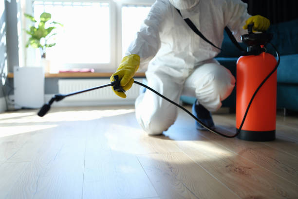 Best Best Pest Control Companies  in Barberton, WA