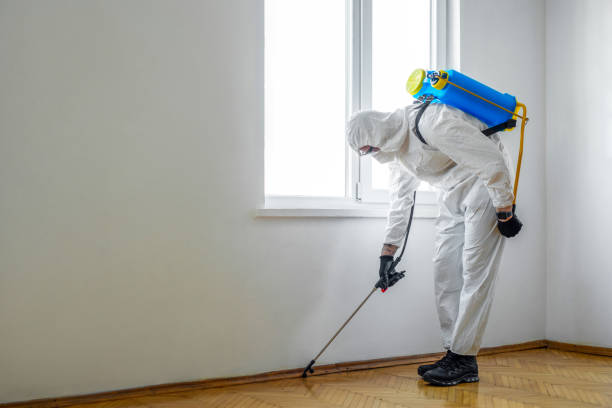 Best Cockroach Control Services  in Barberton, WA