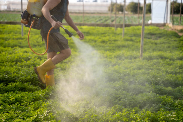Reliable Barberton, WA Pest Control Solutions