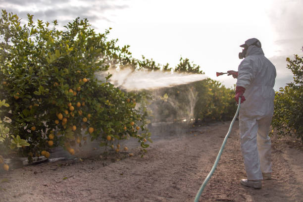 Best Emergency Pest Control  in Barberton, WA