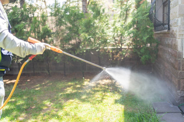 Best Termite Control Services  in Barberton, WA