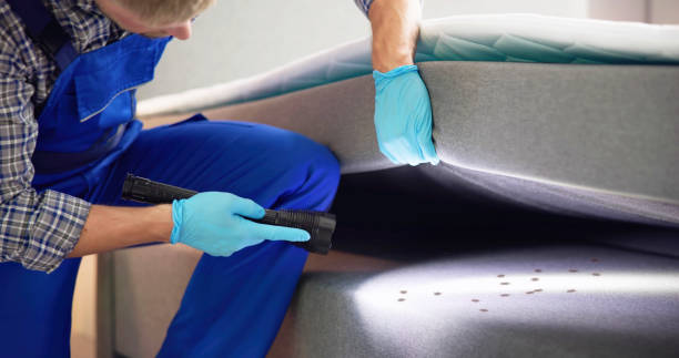 Best Mosquito Control Services  in Barberton, WA
