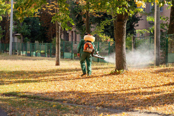 Best Pest Removal Services  in Barberton, WA