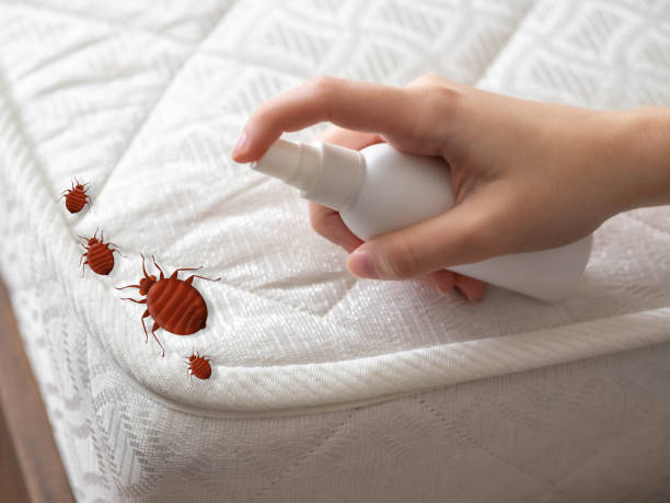 Best Pest Control Near Me  in Barberton, WA