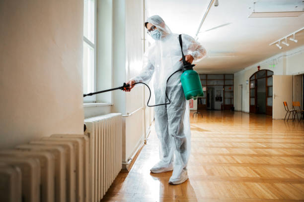 Best Insect Control  in Barberton, WA