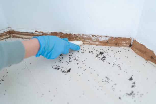 Wildlife Control Services in Barberton, WA